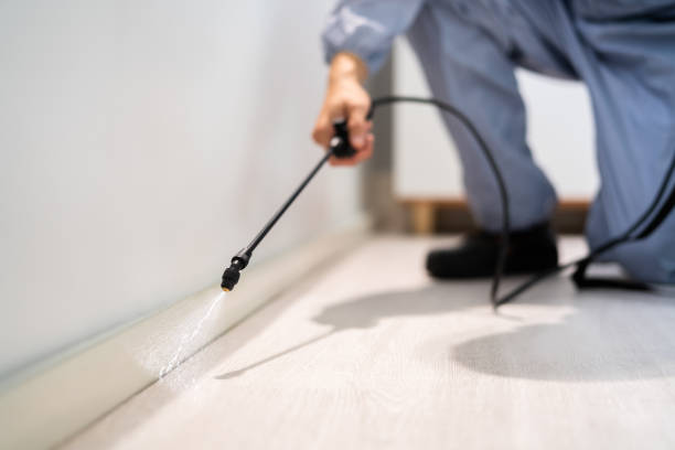 Licensed Pest Control service in Presquille, LA - Show Me Pest Control